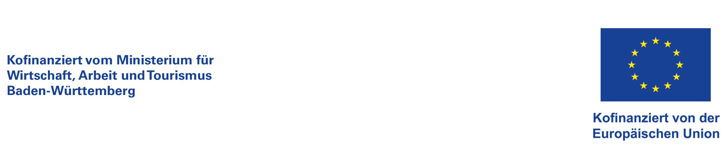 ESF Plus Logo breit