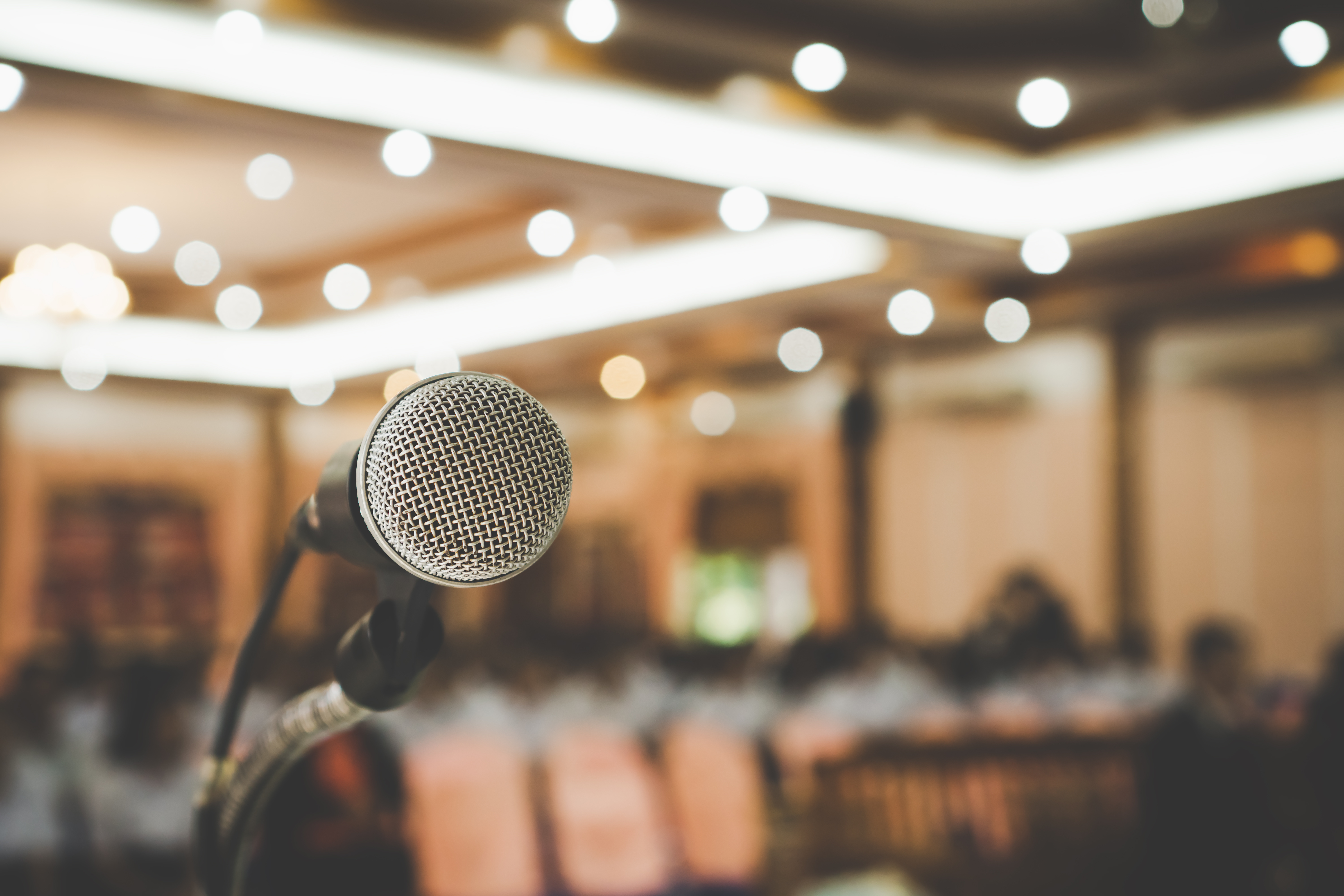 Paneltalk Mikrophon 