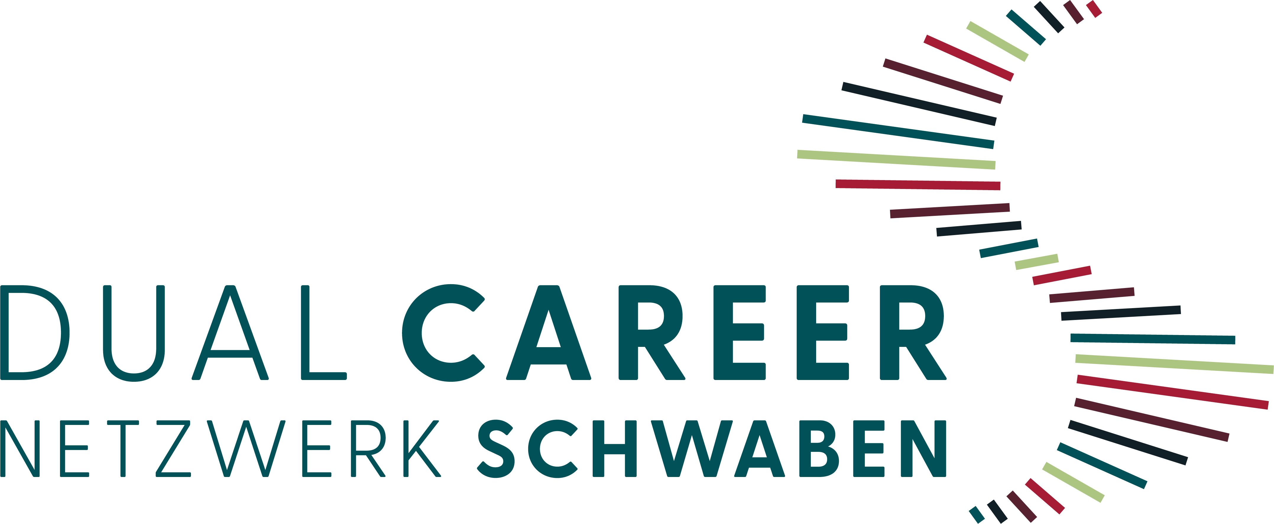 Schriftzug Dual Career Netzwerk Schwaben