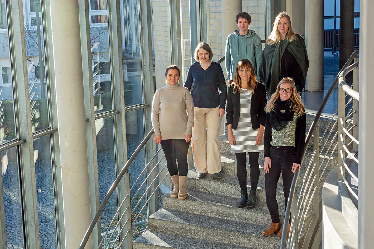 InnoPROF-Team