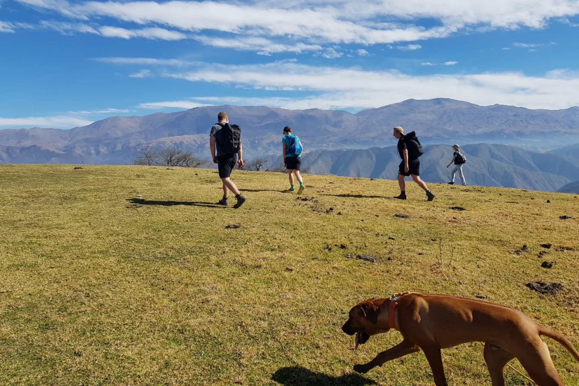Landschaft Argentinien