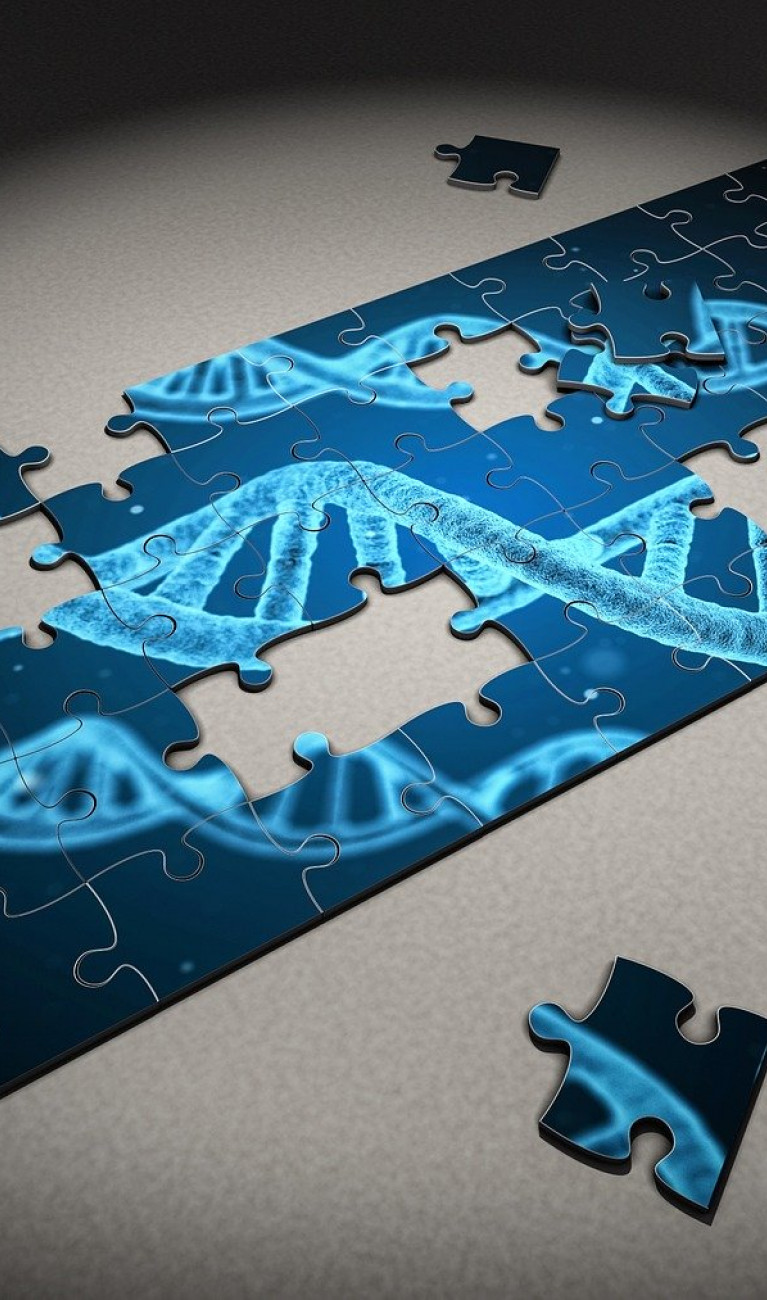 Cell Line Engineering